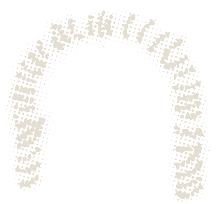 Blinking lights on the archway at the entrance to the park.